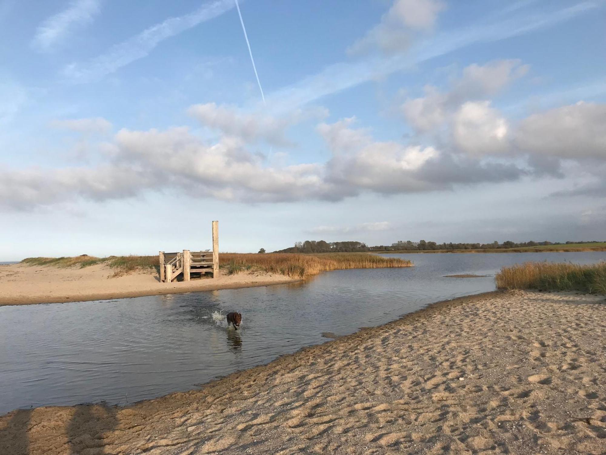 Ferienhaus Nele Ostseebad Kühlungsborn Exterior foto